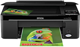 /images/epson-tx135.png